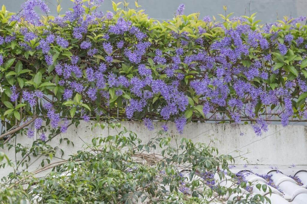 Morada Das Flores Porto Alegre Bagian luar foto