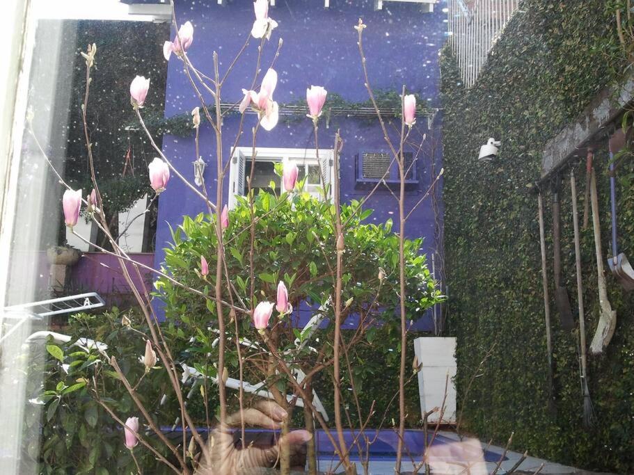 Morada Das Flores Porto Alegre Bagian luar foto
